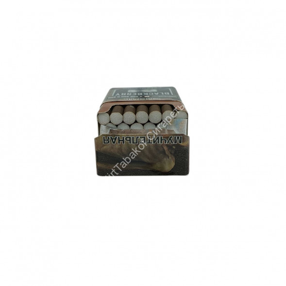 Сигариллы с фильтром Blackberry Cappuccino (Блэкберри капучино) оптом