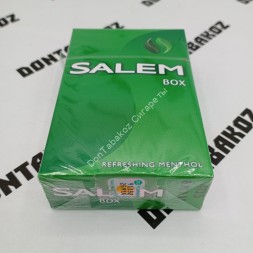 Сигареты Salem Refreshing Menthol Оригинал США Микс
