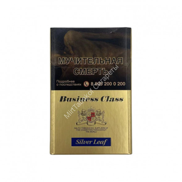 Сигареты Business Class Silver Leaf Nano Микс